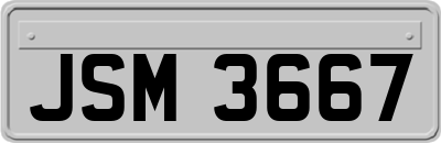 JSM3667
