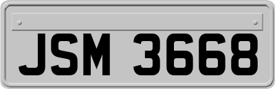 JSM3668