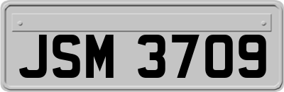 JSM3709