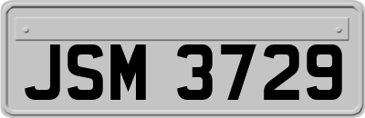 JSM3729