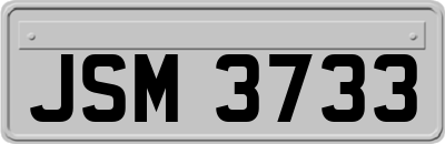 JSM3733