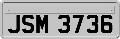 JSM3736