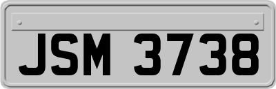 JSM3738