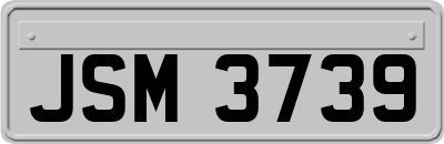 JSM3739