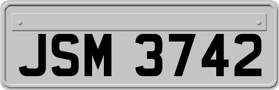 JSM3742