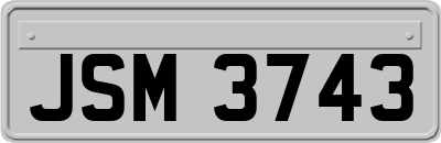 JSM3743