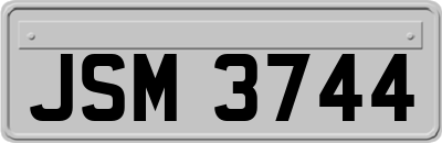 JSM3744
