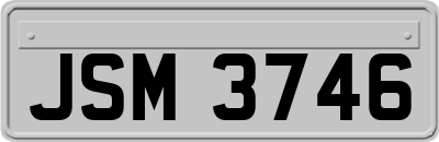 JSM3746
