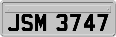 JSM3747