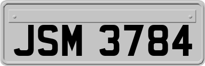 JSM3784