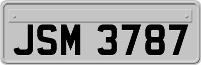 JSM3787
