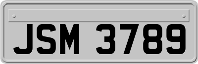 JSM3789