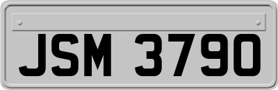 JSM3790