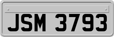 JSM3793
