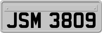 JSM3809
