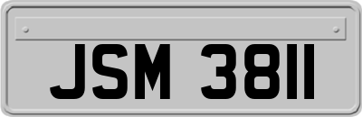 JSM3811