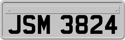 JSM3824