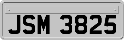 JSM3825
