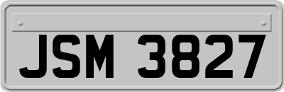 JSM3827