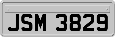 JSM3829