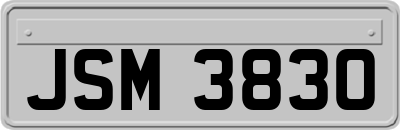 JSM3830