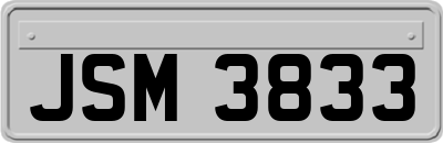 JSM3833