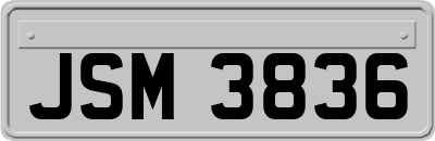 JSM3836