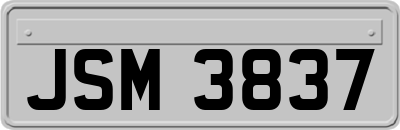 JSM3837