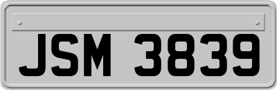 JSM3839