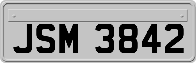 JSM3842