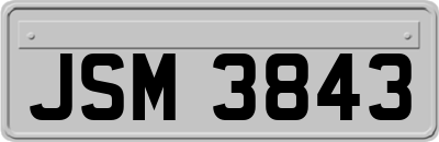 JSM3843