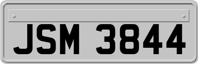 JSM3844