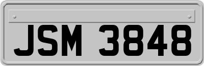 JSM3848