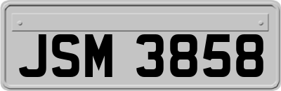 JSM3858