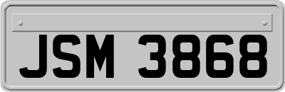 JSM3868