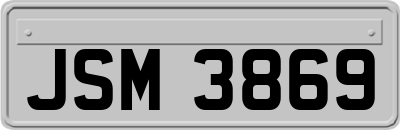 JSM3869