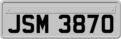 JSM3870