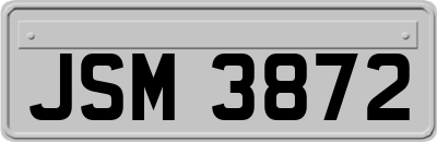 JSM3872