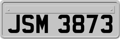 JSM3873