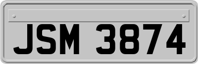 JSM3874