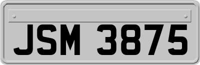 JSM3875