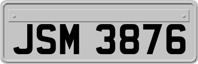 JSM3876