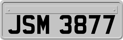 JSM3877