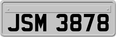 JSM3878