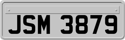 JSM3879