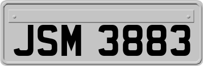 JSM3883