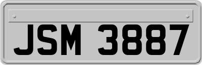 JSM3887