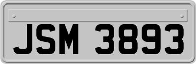 JSM3893