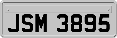 JSM3895