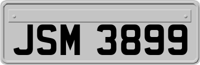 JSM3899